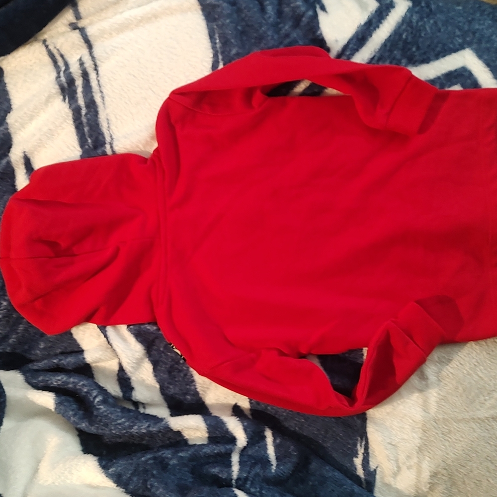 Red Hoodie* - Picture 8 of 11